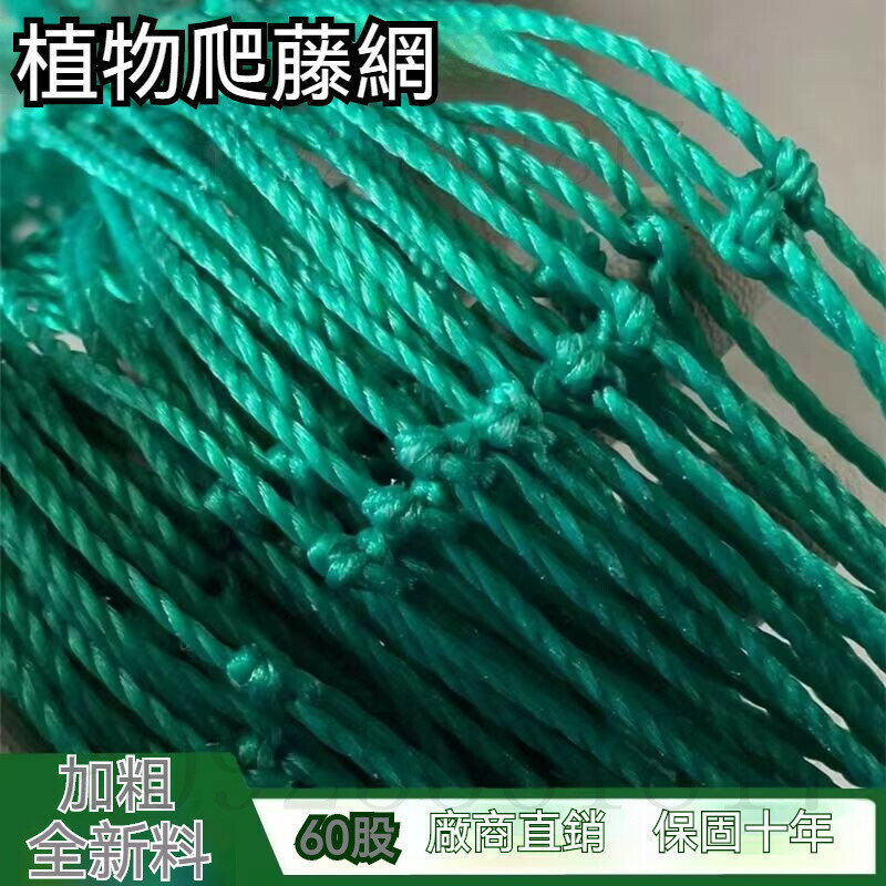 植物爬藤網 加粗60股 絲瓜苦瓜爬藤網 瓜蔞爬藤網 藤蔓植物搭架網 葡萄爬藤網 百香果爬藤網 爬藤網 攀爬網 養殖網 網