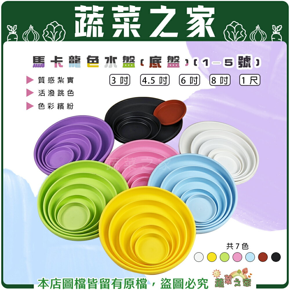 【蔬菜之家】馬卡龍色水盤(1~5號) 共7色可選 3吋/8吋馬卡龍彩盆