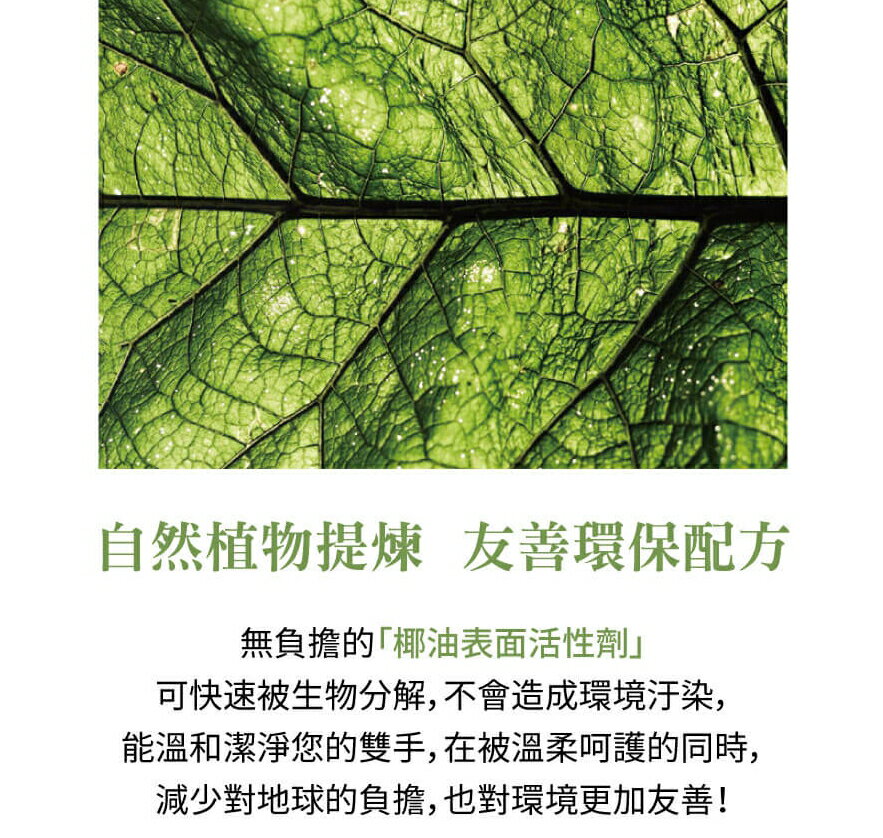 JBLIN 薰衣草精油洗手液 洗手乳 精油系列 500ml 【櫻桃嚴選】 7