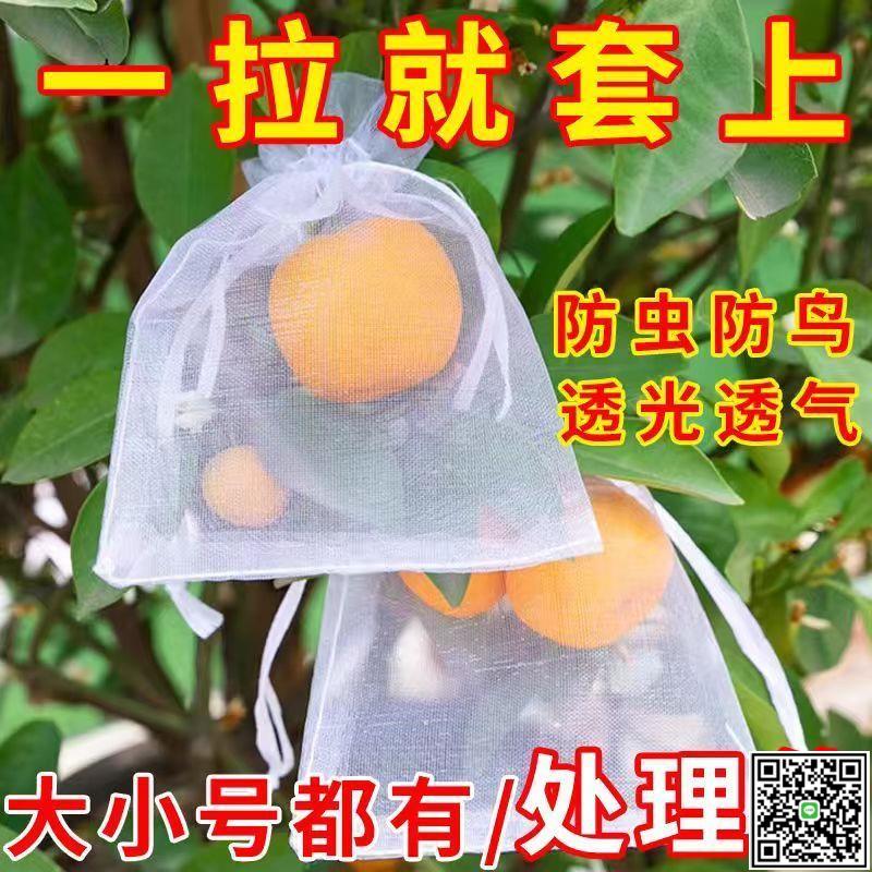 套果袋專用藍莓防鳥網草莓套袋套袋防蟲葡萄水果網袋透氣袋尼龍網-UM.有米家居