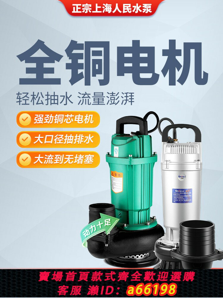 【臺灣公司 可開發票】上海人民 水泵小型220v清水泵農用澆地高揚程抽水機大流量潛水泵