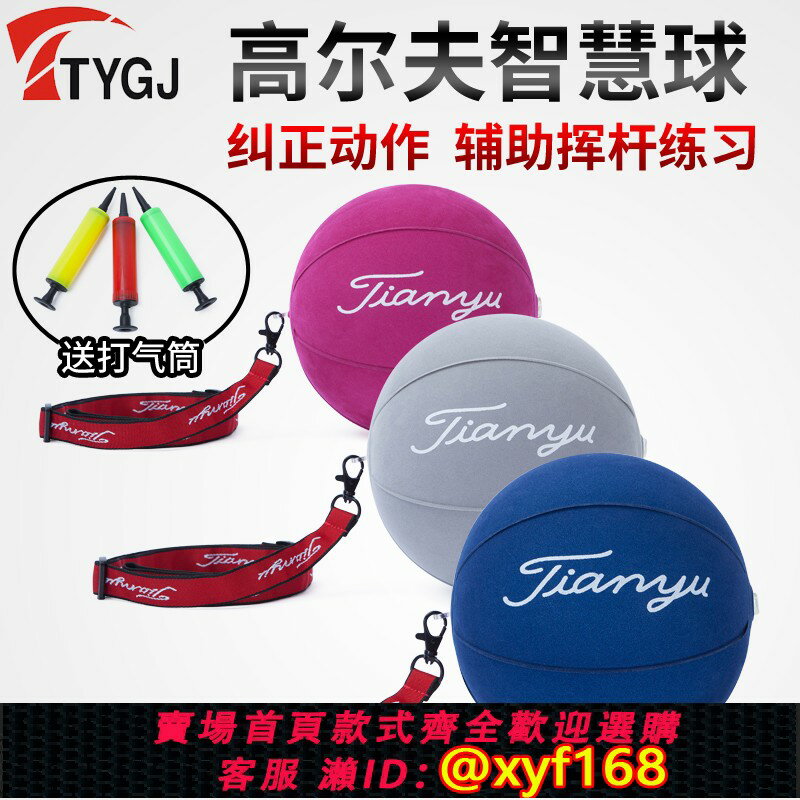 {保固一年 可打統編}高爾夫智慧球 充氣球 揮桿練習器 手臂糾正 訓練 輔助矯正器材