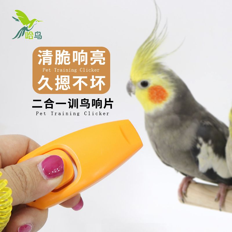 【免運】可開發票 哈鳥鸚鵡訓練響片+口哨 鸚鵡玩具 訓練用品 益智玩具 鸚鵡鳥玩具