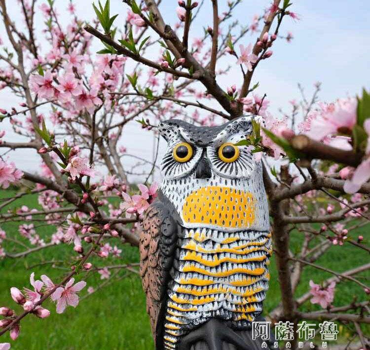 驅鳥器 果園塑膠模擬貓頭鷹驅鳥神器園林防鳥戶外趕鳥嚇鳥養殖場果樹擺件【摩可美家】
