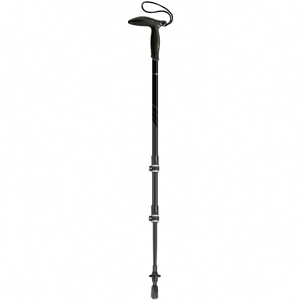 ├登山樂┤德國 LEKI Legend Series 90 - 120 cm 碳纖維登山杖 單支 65320861