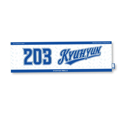 【現貨】2026 樂天 x 圭賢 聯名應援巾