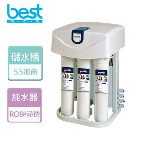 【BEST 貝斯特】家用櫥下型RO逆滲透純水機-無安裝服務 (RO-350)