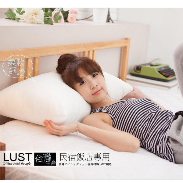 現貨【LUST】【MIT飯店民宿專用枕 大白枕  枕頭】防蠻抗菌-台灣製【超取一張只能選擇二入，超過需選宅配部份】