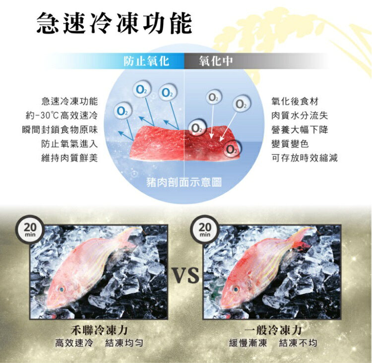 【折300】可議價✨HERAN/禾聯✨  HRE-B4823V 穗香金系列變頻一級雙門電冰箱-485L ★僅竹苗含安裝定位 4