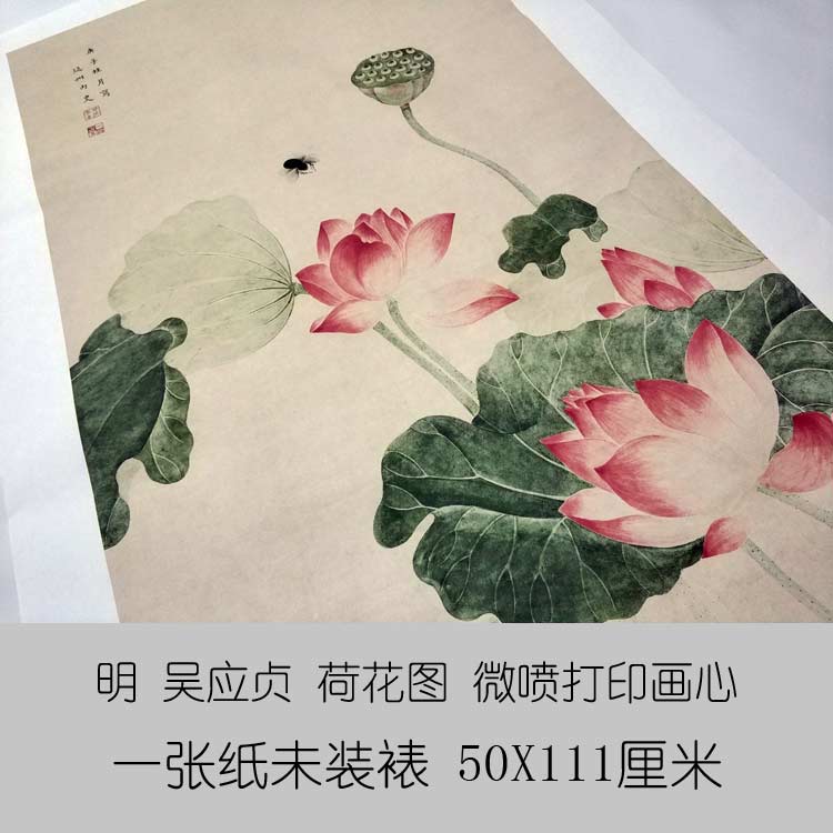 仿古畫名畫復製品清吳應貞荷花圖吉祥名畫花鳥畫中國畫名人字畫