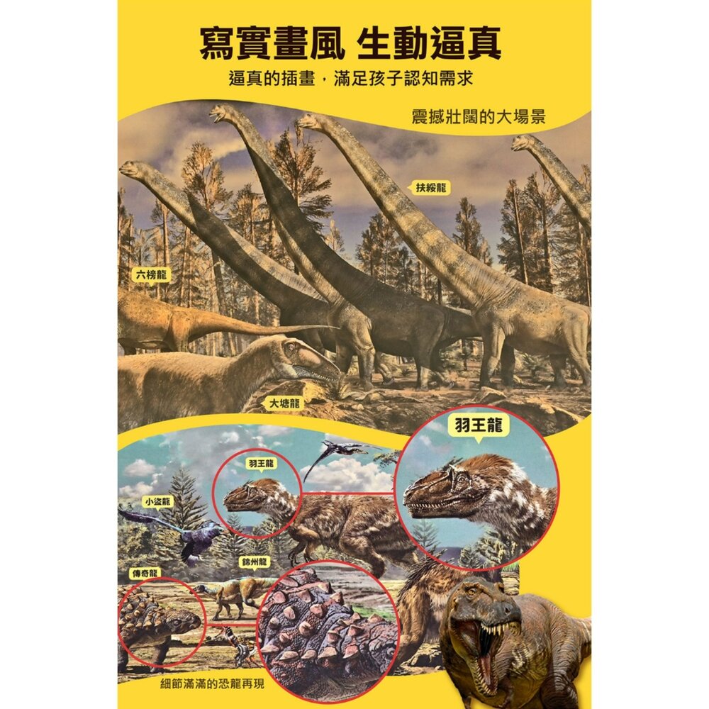 媽媽買 PNSO百科拼圖 風車圖書 恐龍拼圖書 翼龍拼圖 PNSO恐龍 恐龍百科拼圖 翼龍知識拼圖 恐龍益智拼圖書 兒童恐龍拼圖 4