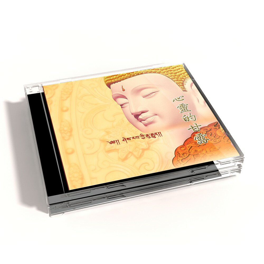 【新韻傳音】心靈的甘露-般若泉 CD MSPCD-1069
