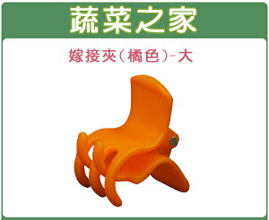 【蔬菜之家】橘色嫁接夾(蘭花夾.固定夾)-(大)(30入/組、500入/包)