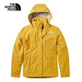 the north face face