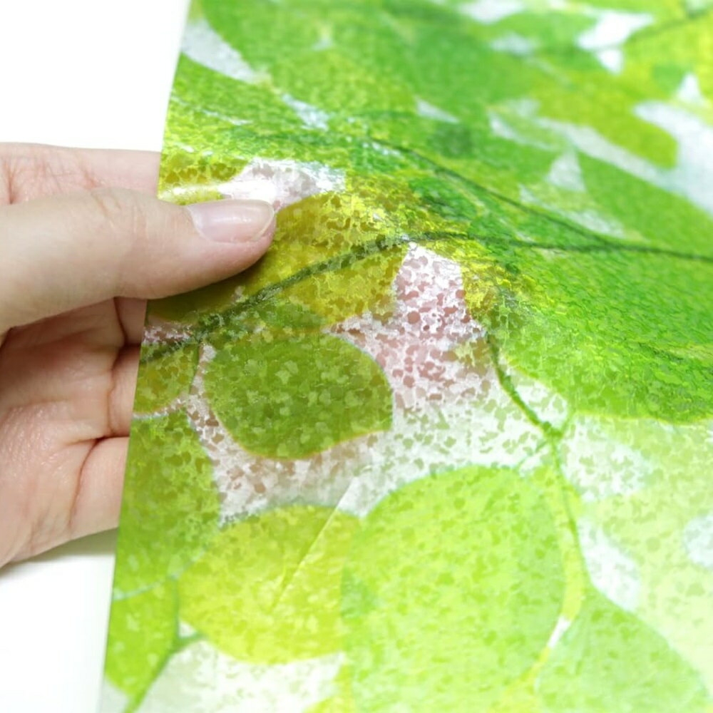 日本MEIWA抗UV節能靜電窗貼 (綠葉盈窗) - 92x100公分 4