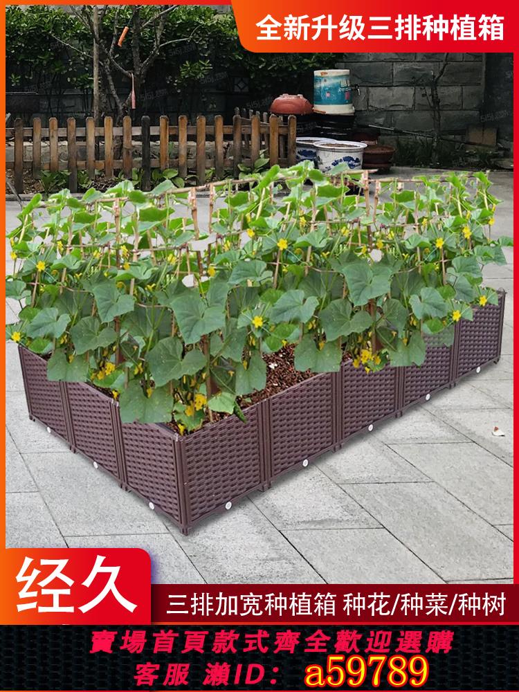 【臺灣公司 可打統編】特大陽臺蔬菜種植箱 家庭塑膠花盆樓頂種菜專用箱戶外種菜盆花箱