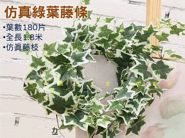 模擬綠葉藤條 模擬藤蔓植物 常春藤 假花 植物藤條 圍欄 管線裝飾 綠色氛圍 綠蘿葉 景觀造景 人造常春藤葉 纏繞植物