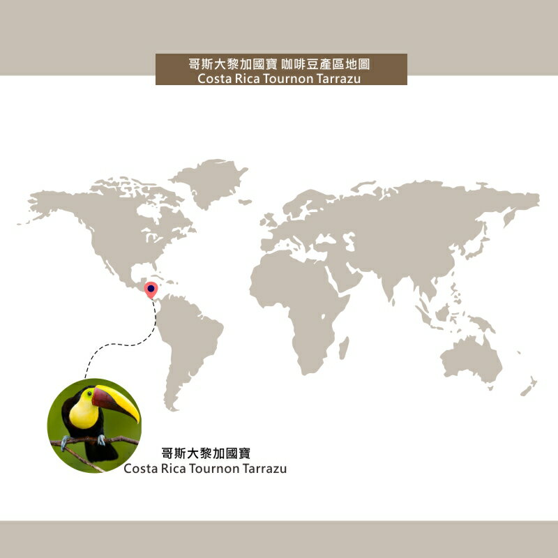哥斯大黎加國寶濾掛咖啡 Costa Rica Tournon Tarrazu | DALLYN世界嚴選莊園 ★滿299元超取免運 , 滿1500元店家宅配免運★ 4