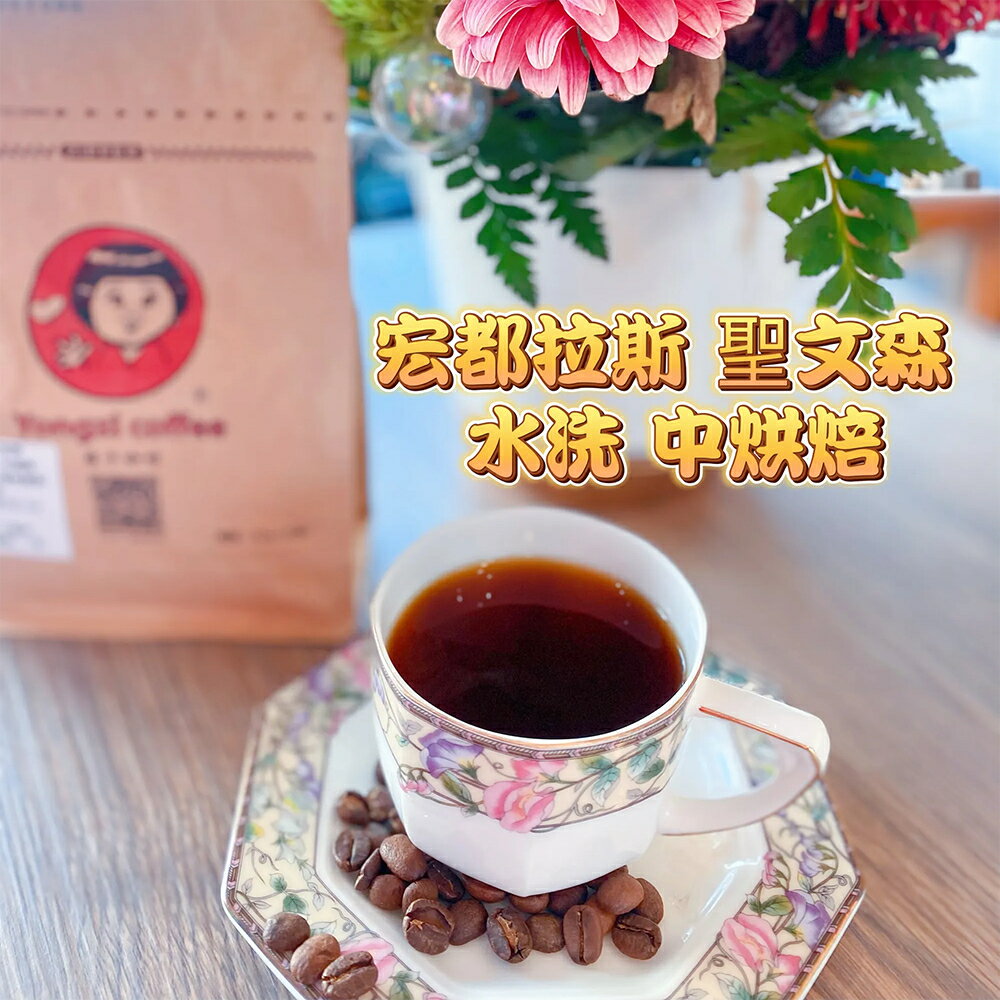 宏都拉斯 聖文森 水洗 中焙/半磅
