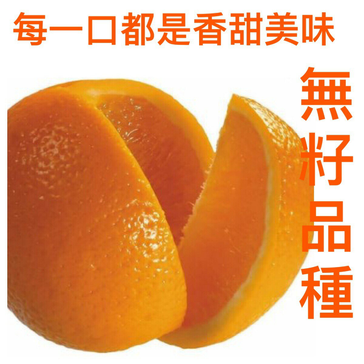 金太陽無籽甜橙18入/36入/60入/72入/108入【皇家果物】