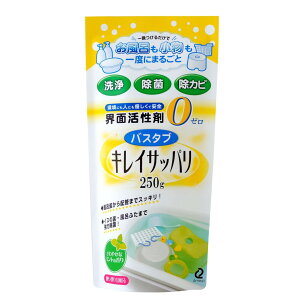 日本 ARNEST 浴室 用品 浴缸 清潔劑 250g 4989082768618