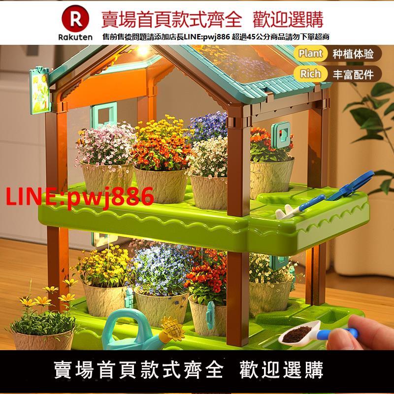 【臺灣公司 優質服務】兒童種植迷你小盆栽溫室陽臺種蔬菜觀察生長幼兒園小學生種花植物