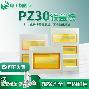 PZ30配電箱鐵蓋板面板12/15/18/20/30/4回路單雙三排明暗裝盒蓋子