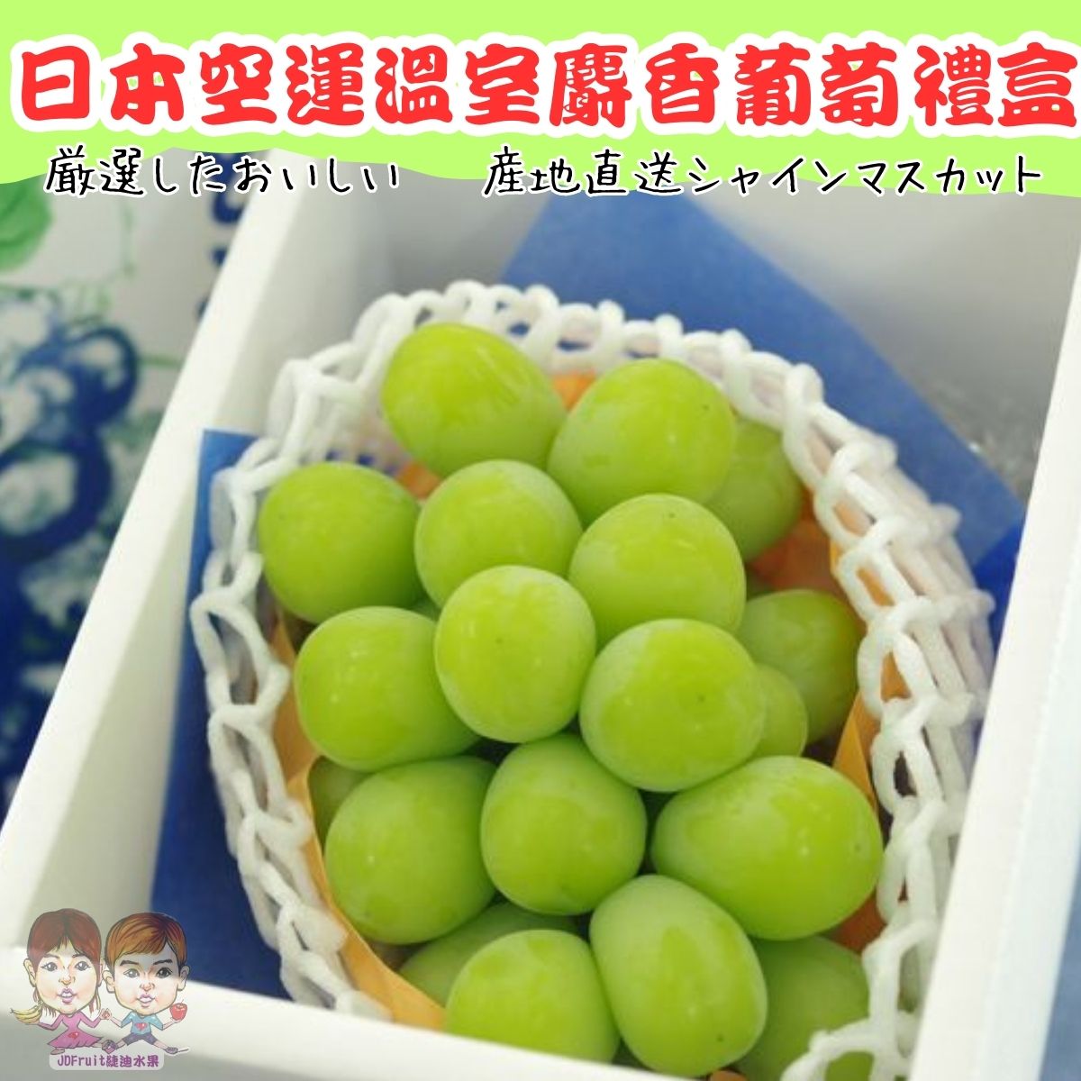 【緁迪水果JDFruit】日本長野/山梨縣溫室麝香葡萄(1房禮盒_500g/串) 0