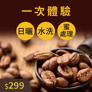 試喝組 - 莊園咖啡豆 60克x3包 - 一次體驗三種處理法【JC咖啡】堅持新鮮烘焙x隨選三種處理法