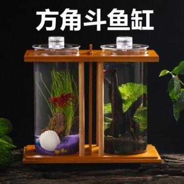 鬥魚缸超白玻璃雙缸迷你創意小型隔離生態魚缸小魚微景觀生態瓶