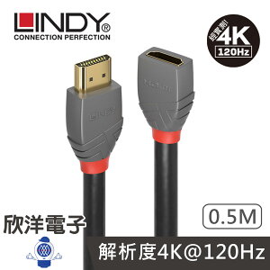 ※ 欣洋電子 ※LINDY林帝 HDMI 2.0 公 TO 母 延長線 0.5M 50公分 (36475)