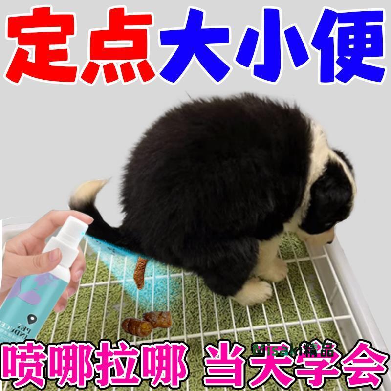 狗定點上廁所神器訓練寵物幼犬小狗狗比熊泰迪引導定位排便誘導劑-Misaki精品