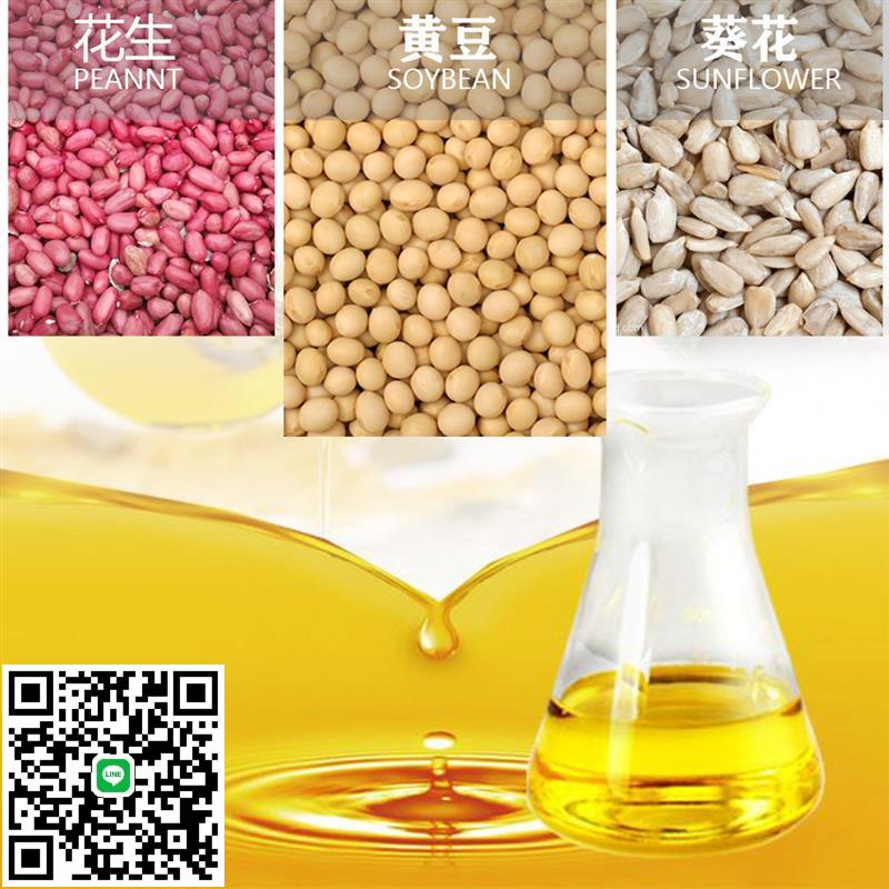 不銹鋼手動榨油機 家用小型花生壓榨機 核桃菜籽油榨油機