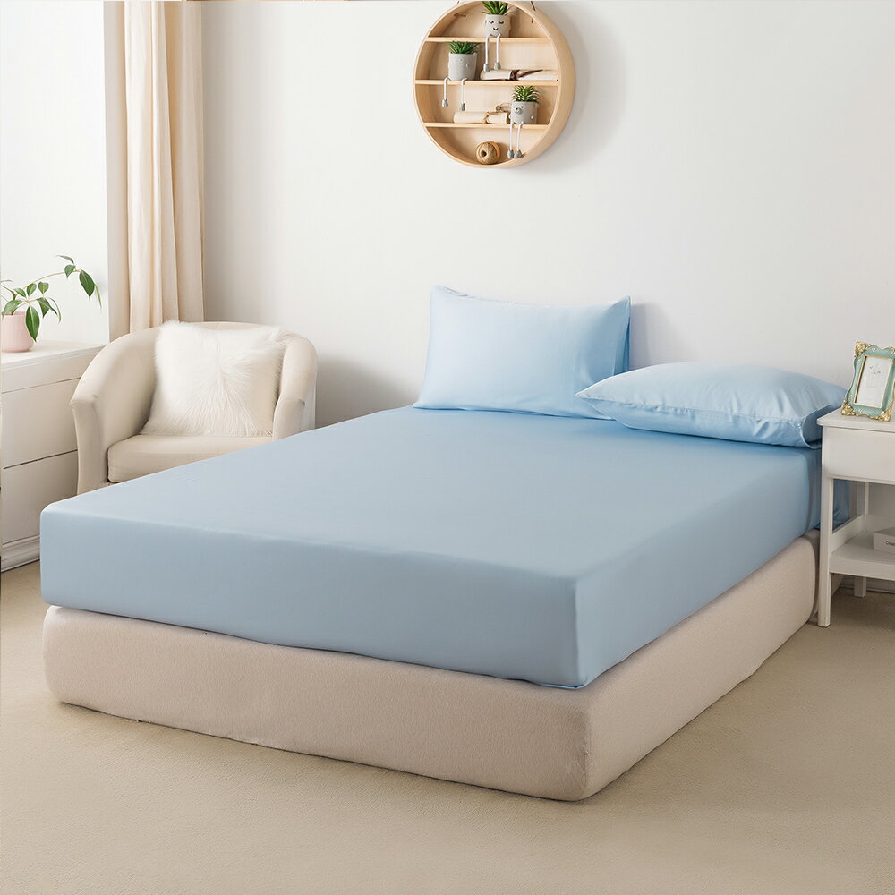 【媚格德莉MIGRATORY】60支天絲單人兩件式床包枕套組-淺藍色