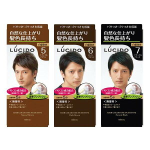 日本 LUCIDO 按壓式染髮霜(50gx2)『STYLISH MONITOR』D406887