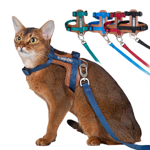 HIDREAM 啵啵系列 貓咪胸背牽繩組 5色 | 艾爾發寵物