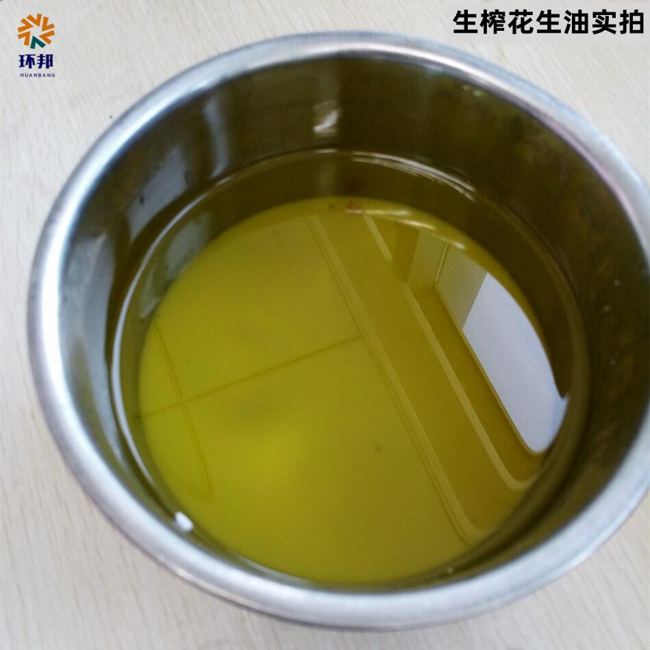 【臺灣公司 可開發票】不銹鋼螺旋家用小型榨油機冷熱雙榨全自動花生芝麻核桃商用炸油機