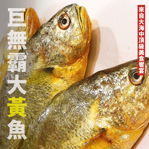 【天天來海鮮】馬祖箱網黃魚 每尾三去真空包裝 重量:600-700克