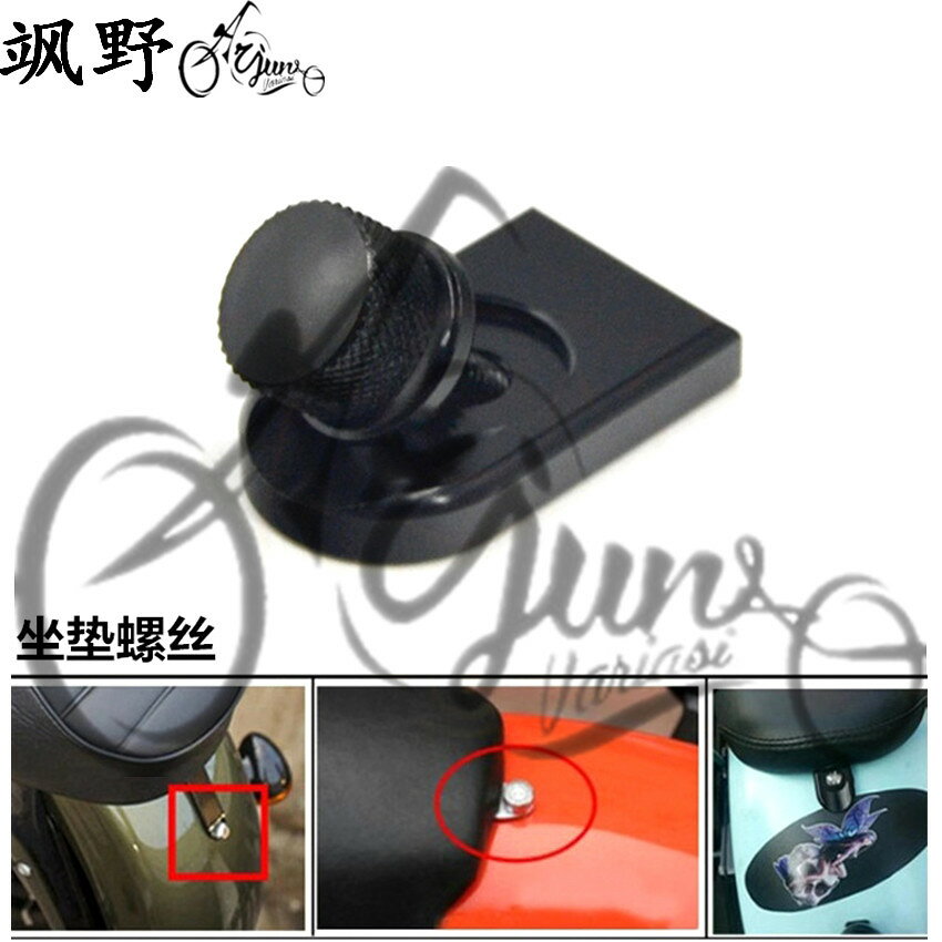 摩托車CNC鋁坐包安裝螺絲 坐墊螺絲 適合哈雷路王 Softail 96-17