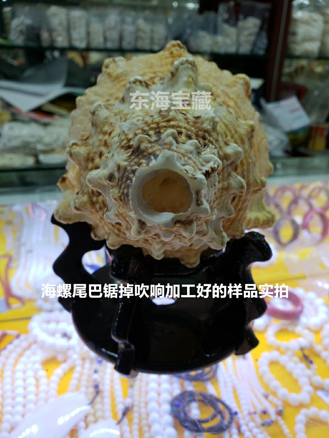天然大海螺貝殼金口大蛙石頭螺石號螺號角螺吹響四大名螺魚缸造景| 協貿