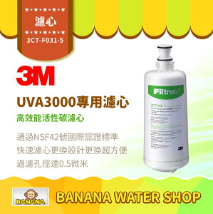 【3M】UVA3000 專用活性碳濾心 3CT-F031-5 原廠公司貨 UVA3000淨水器專用【零利率】