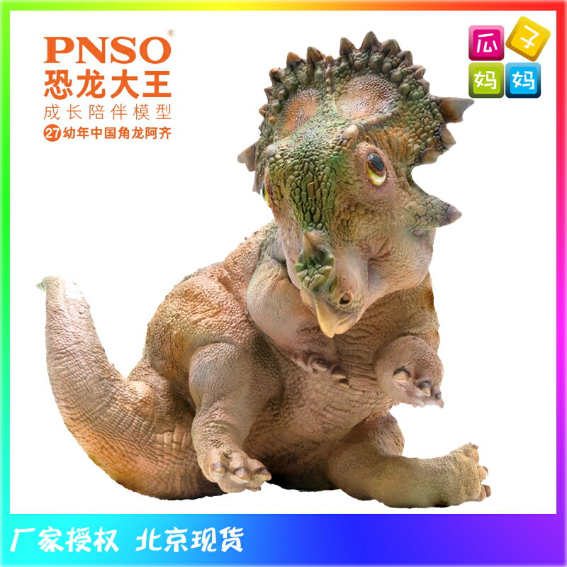 PNSO恐龍大王 27幼年中國角龍 阿齊 成長陪伴模型2020年新品