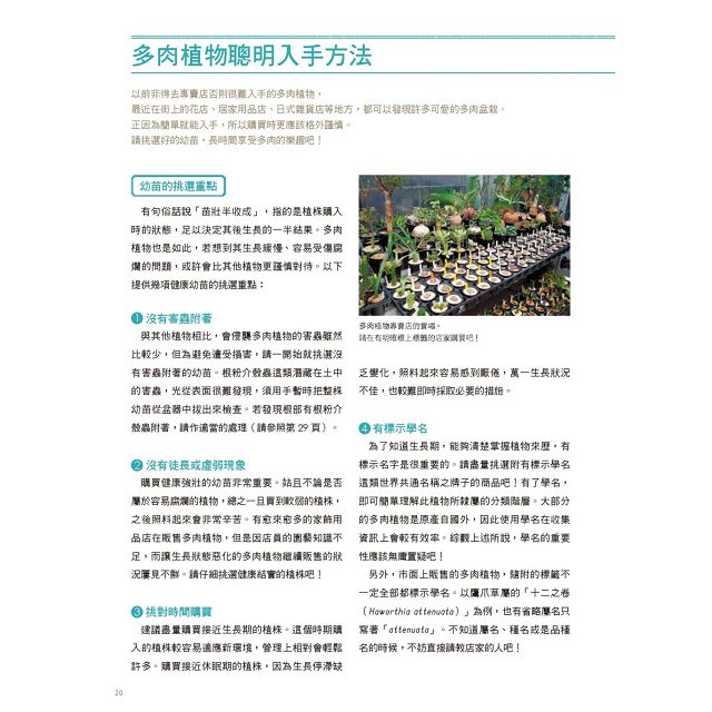 多肉植物栽培大全 品種介紹 四季管理 Q A新手問答 樂天書城直營店 樂天市場rakuten