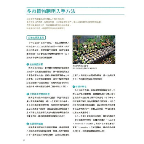 多肉植物栽培大全 品種介紹 四季管理 Q A新手問答 樂天書城直營店 樂天市場rakuten 多肉植物栽培大全 品種介紹 四季管理 Q A新手問答 樂天書城直營店 樂天市場rakuten