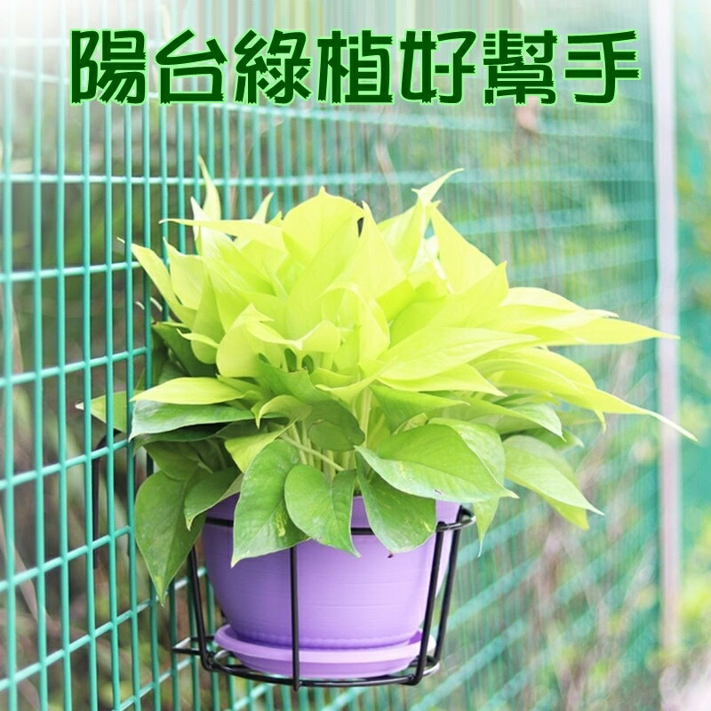 【珍愛頌】N101 陽台花架 陽台架 圓型 浸塑花架 掛架 種花 種菜 盆栽 花園 窗台 鋁門窗 花架 鐵窗 欄杆懸掛 3