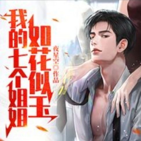 【有聲書】我的七个姐姐如花似玉1|护花爽文 0