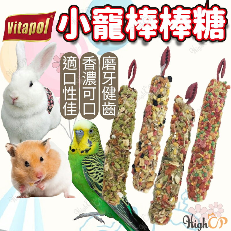 Vitapol維他寶 小寵零食 綜合水果 小寵點心 兔子棒棒糖 倉鼠棒棒糖 小寵磨牙棒【23030135】