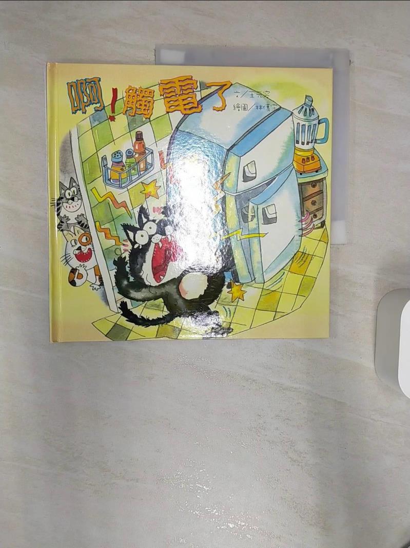 【書寶二手書T1／少年童書 R4I】啊!觸電了 王元容, 陳美玲文; 林傳宗, 郭國書繪圖; 張義文, 李竹旺攝影