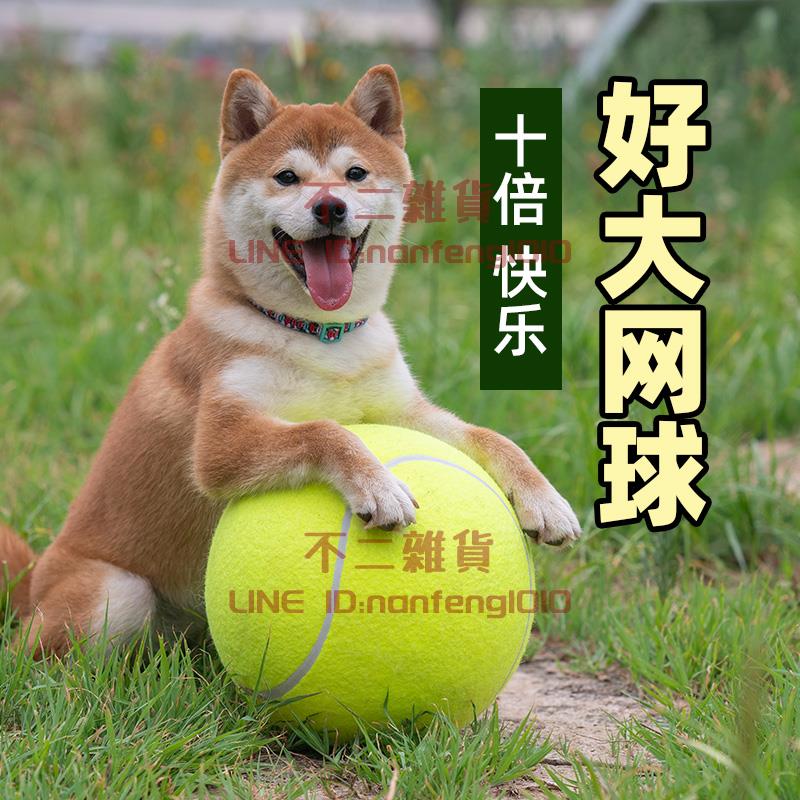 狗狗玩具球快樂球超大網球24cm柴犬柯基法鬥逗狗解悶寵物用品【不二雜貨】