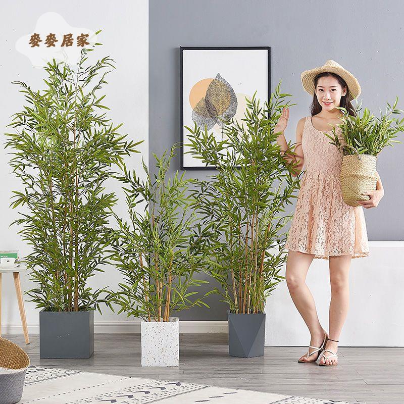 假竹子仿真植物盆栽大型禪意落地綠植擺件新中式造景隔斷室內裝飾[DD0329003]